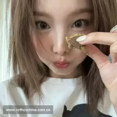 丁震